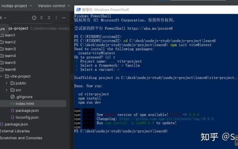 node命令行参数如何传递与解析？