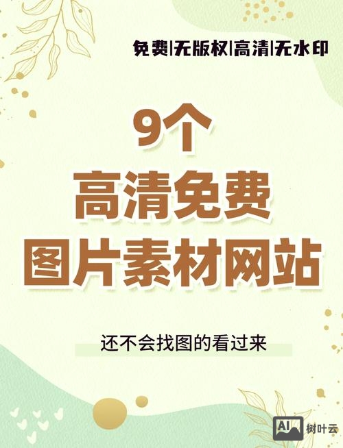 如何查看图片的网站