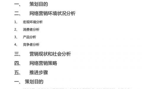 网络营销活动策划,如何高效执行与转化?