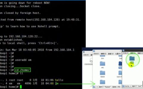 Shell里执行命令，如何正确传参？
