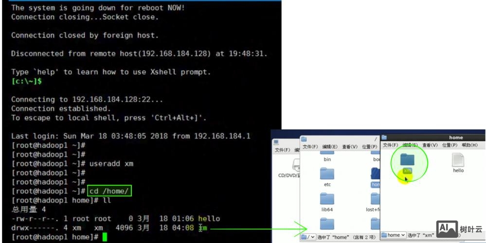 shell里执行命令