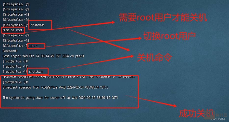 进入oracle命令行