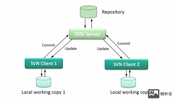 svn 回退版本命令