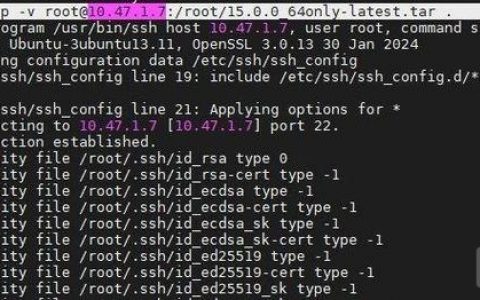 FTP命令如何获取文件列表？