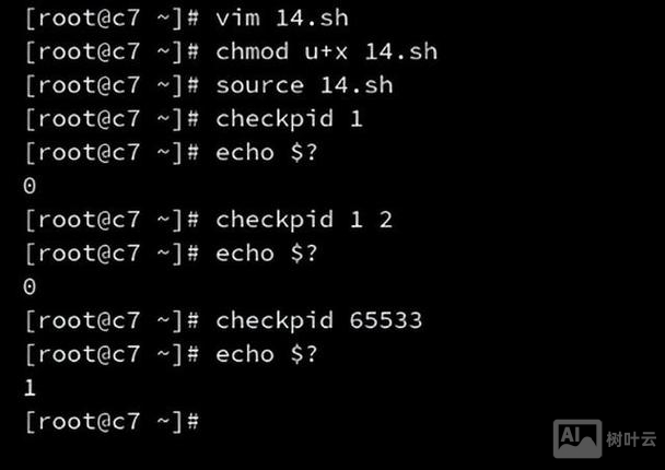 shell 命令赋值为变量