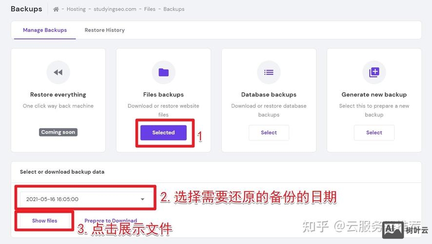 hostinger如何注册免费网站