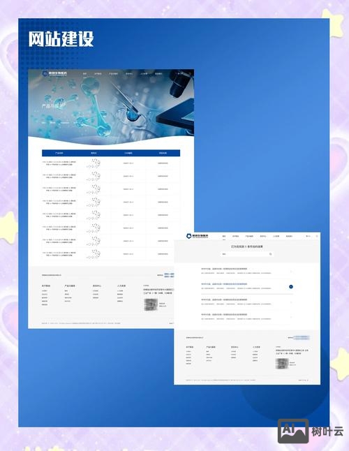 百度快照如何排名
