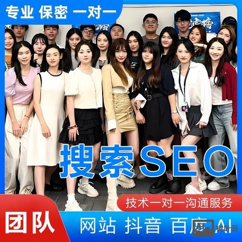 百度快照如何排名