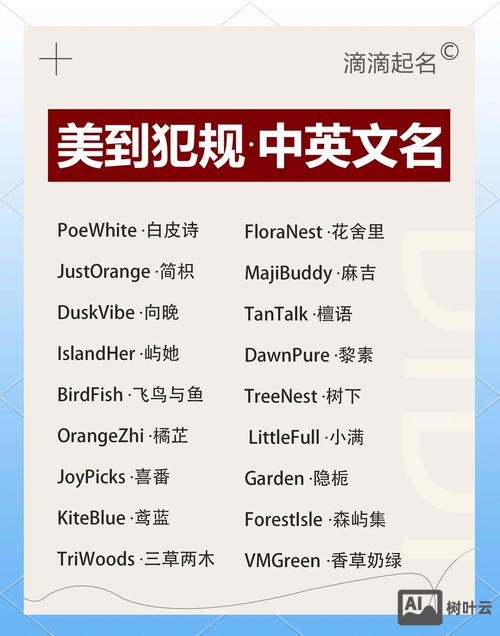 如何给网站取名字