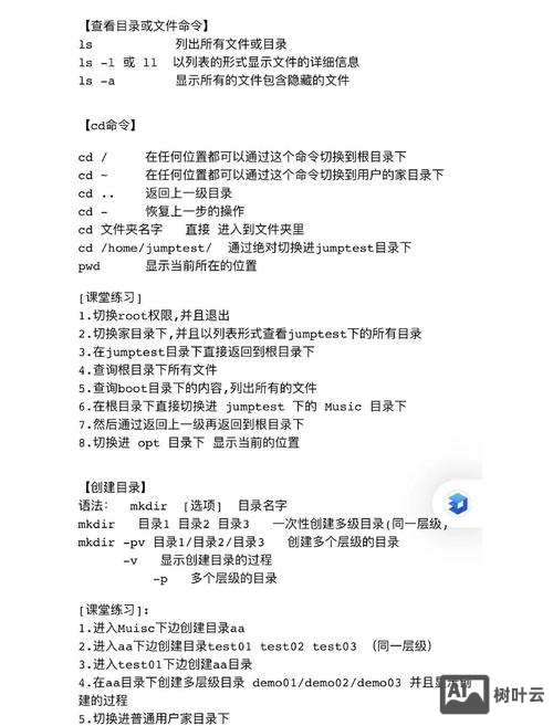 命令行切换分支