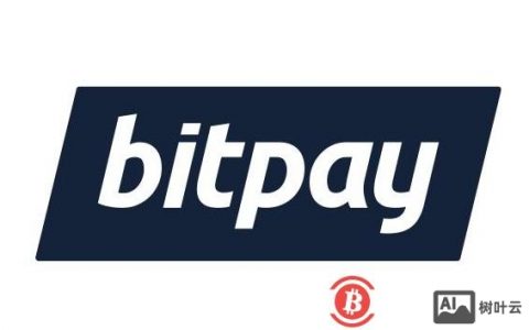 Bitpay招聘什么岗位？要求有哪些？
