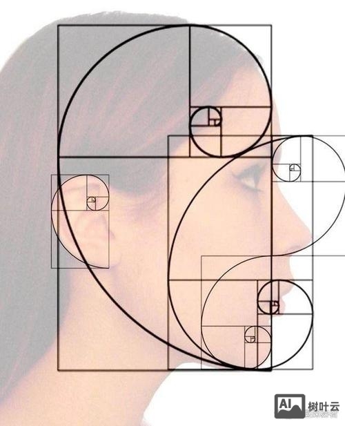 如何使用黄金分割比例