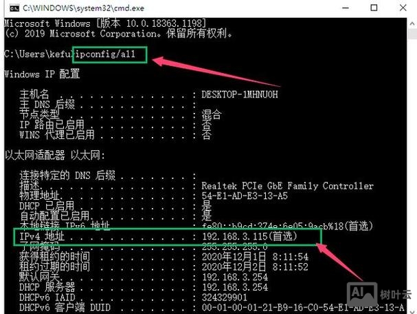 怎么用命令查ip