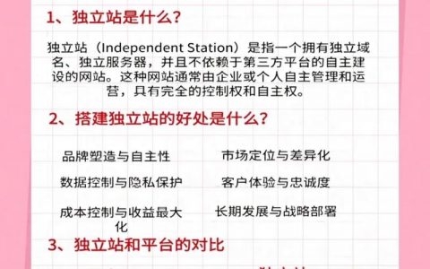 跨境独立站排名哪里查？