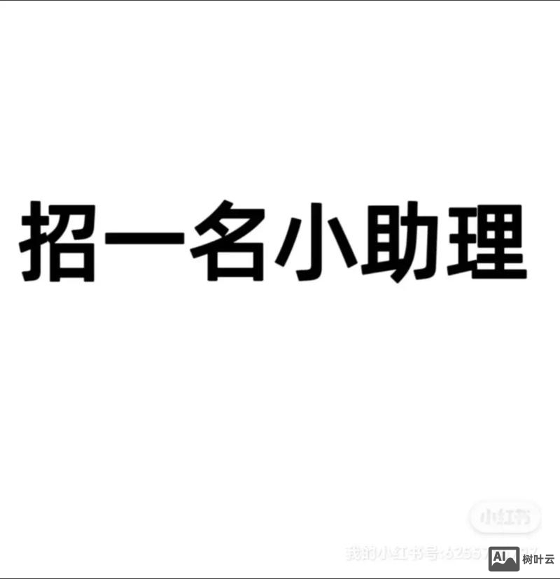 简寻网招聘招聘助理