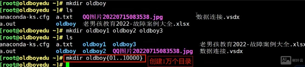 linux 命令行 bash