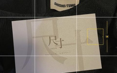 shushutong招聘，具体岗位和要求是什么？