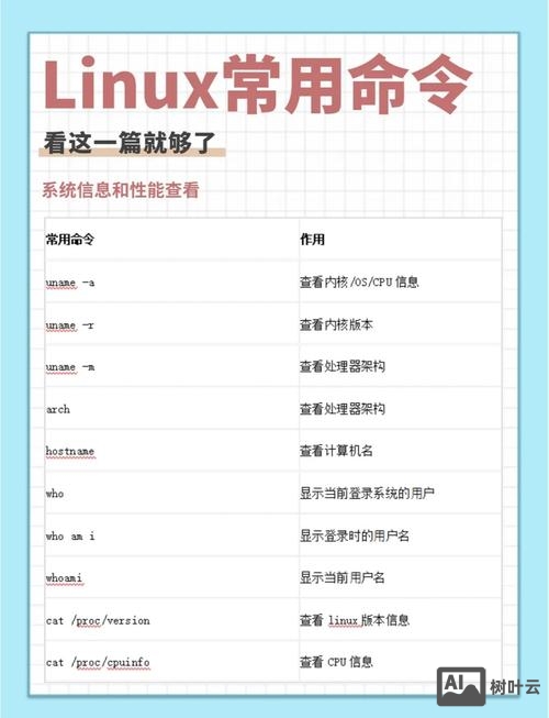 虚拟机命令大全