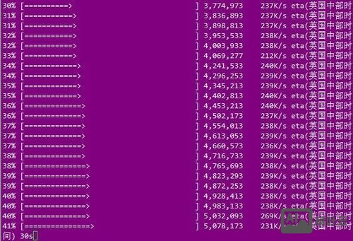 wget 命令下载文件