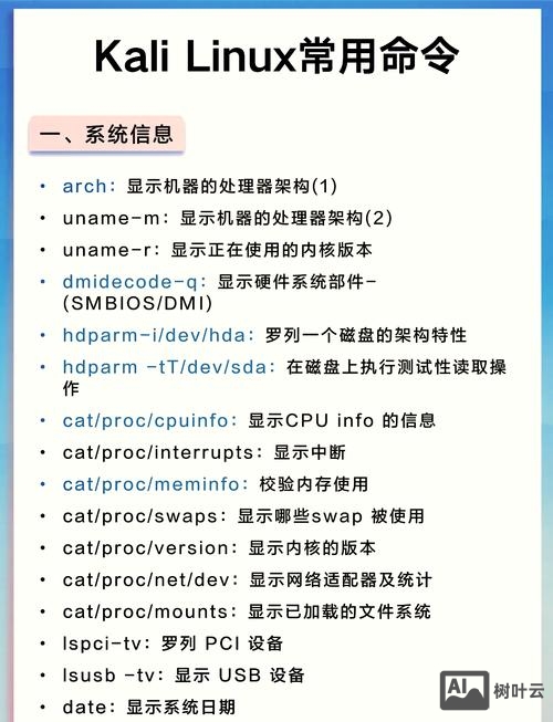 linux如何执行命令