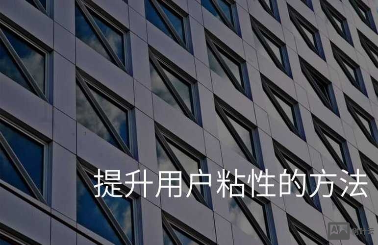 如何提高网站的用户粘性