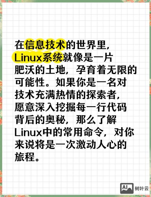 探索者 部分命令
