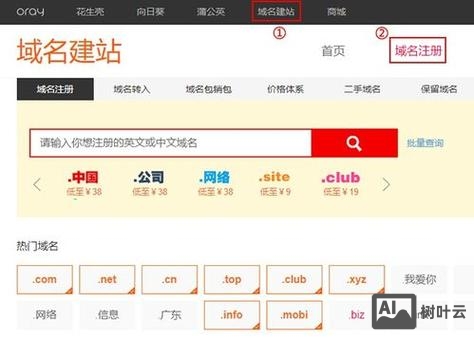 如何查询网站域名空间