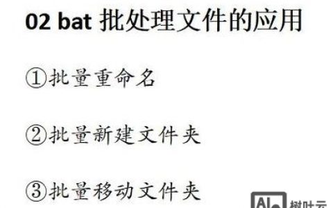 批处理命令结果如何赋值给变量?
