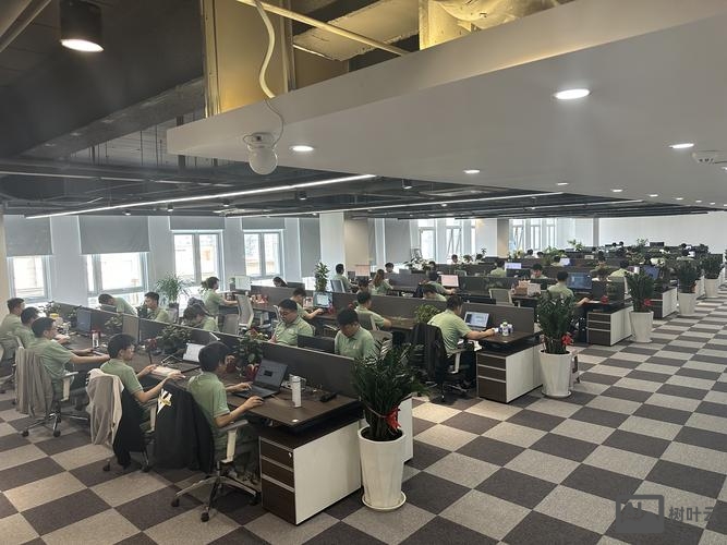 邢台网络公司如何