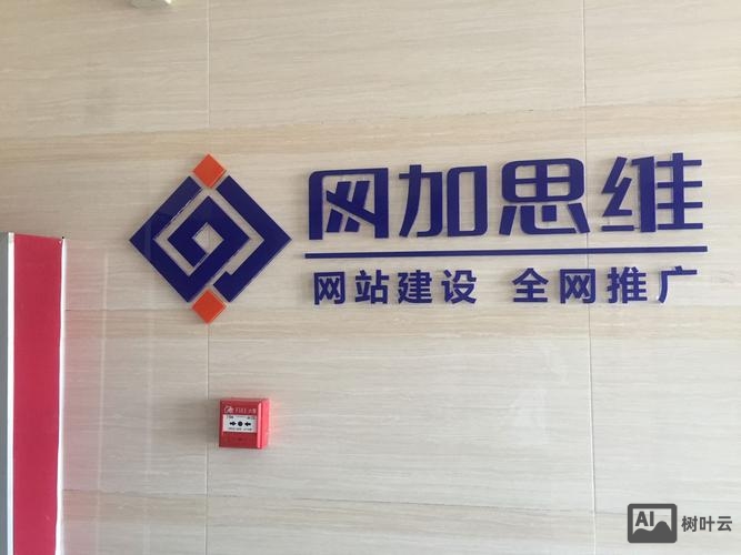 邢台网络公司如何