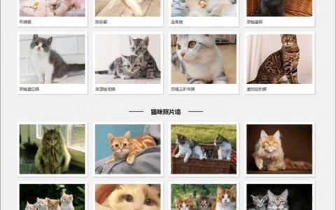 在家接网页制作，新手如何入门接单？