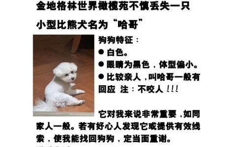 招聘狗招聘版好用吗？