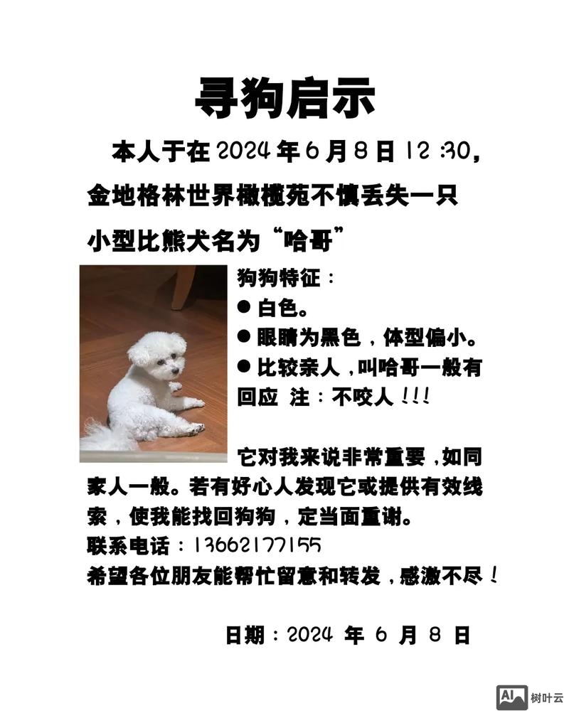 招聘狗招聘版好用吗