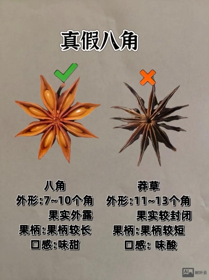 如何辨别食物的阴阳性