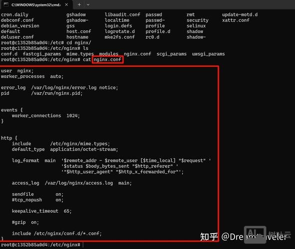 docker 容器 命令行