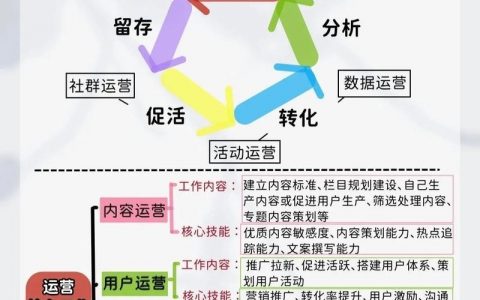 电商营销如何建？关键步骤有哪些？