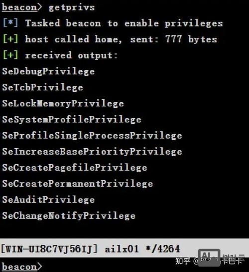 查看域角色的命令