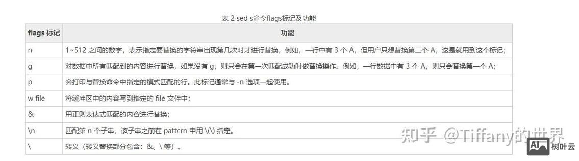 bash怎么执行命令