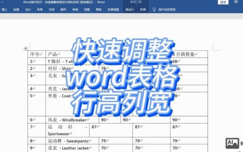 Word命令行参数有哪些实用功能？