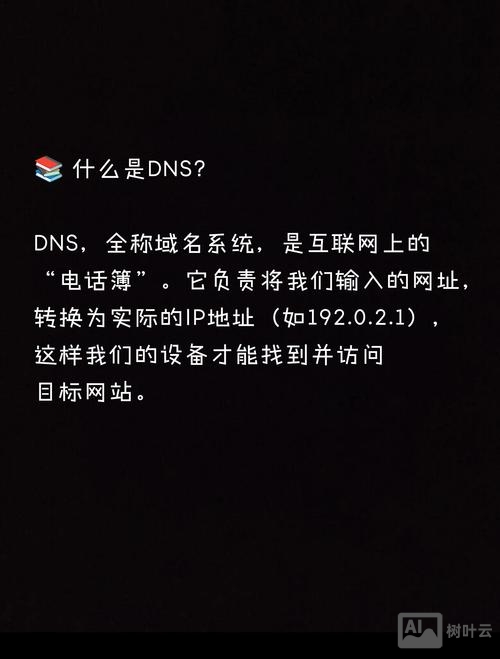 如何看网站的域名注册