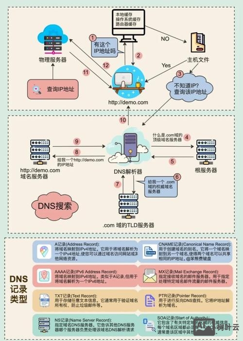 如何看网站的域名注册