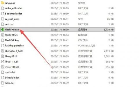FTP管理工具如何高效管理文件？