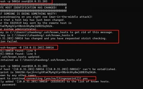 命令行如何新建用户？