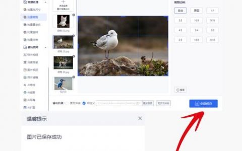 网页设计如何上传图片？