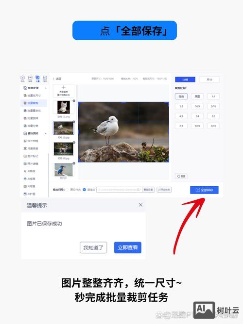 网页设计如何上传图片