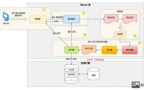 如何查看MySQL自定义函数的定义？