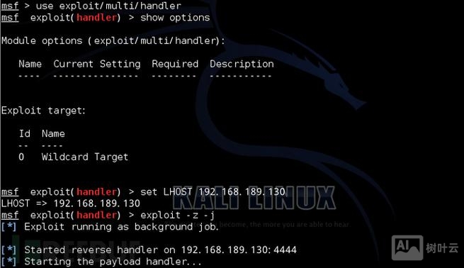 kali查看版本命令
