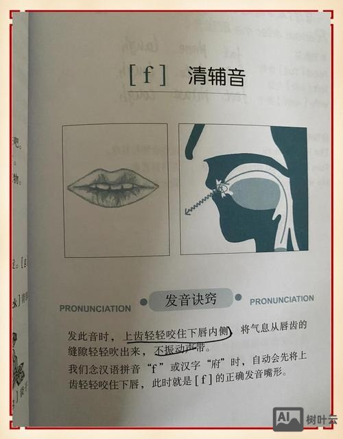 如何发出真正的浊辅音