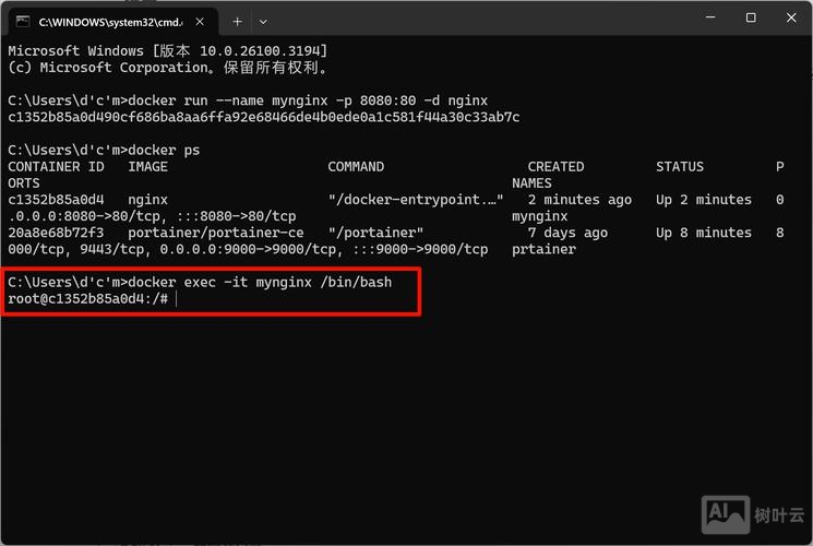 命令行启动nginx