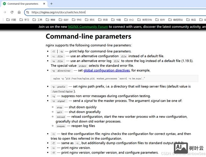 命令行启动nginx